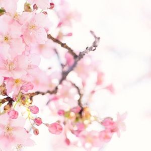 Meet your Posher, Juli